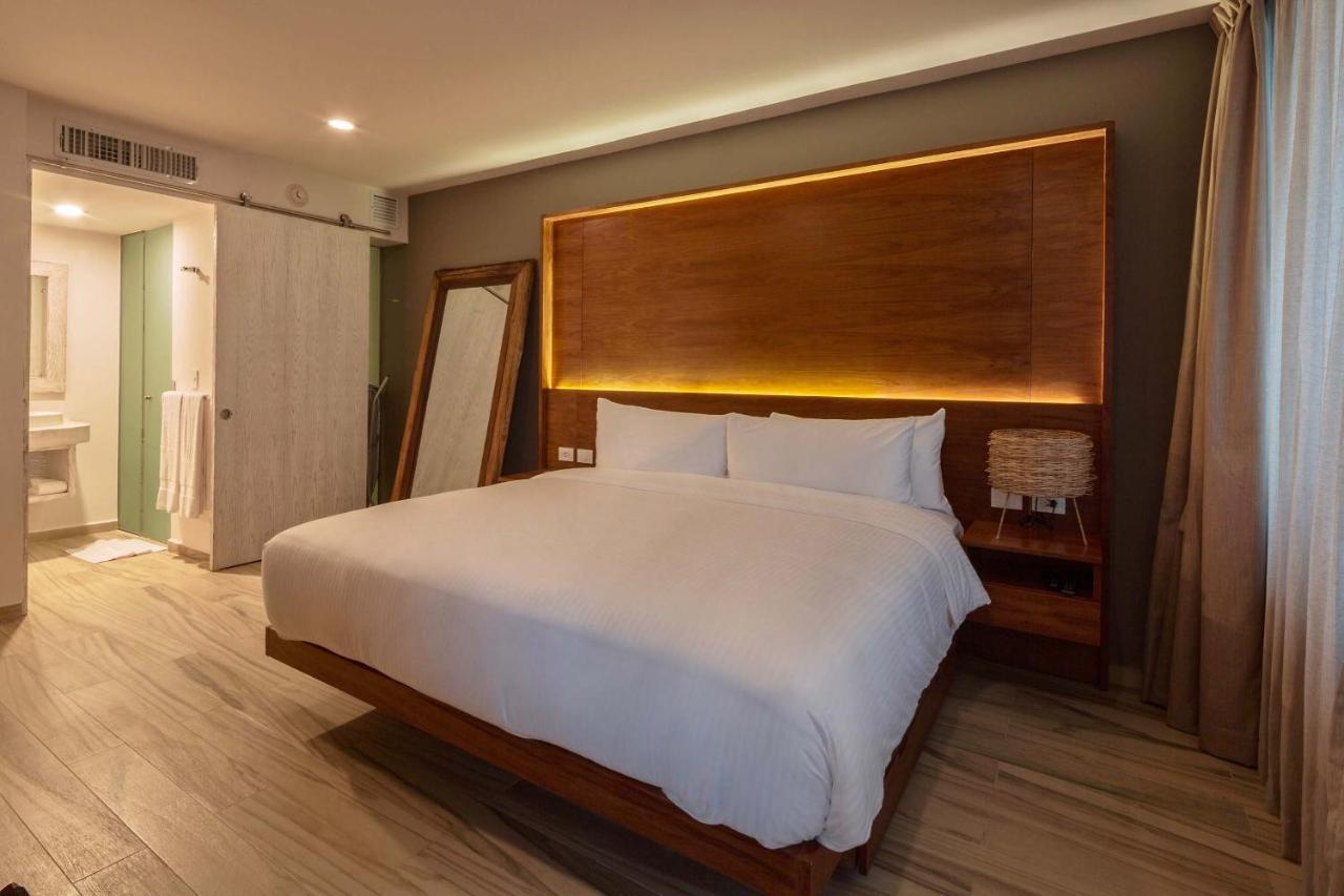 Quarto Premium Newport