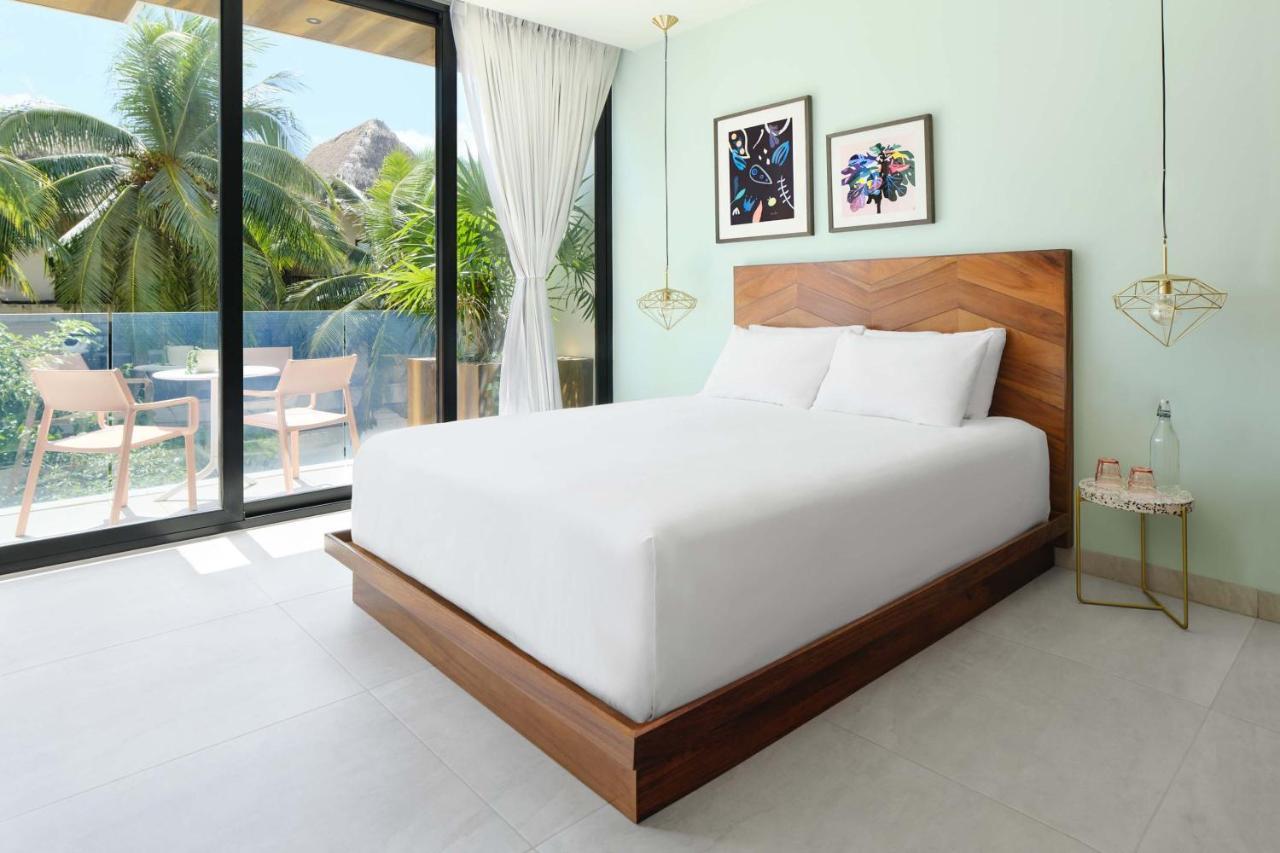 Cozy Queen,1234194548:JPEG