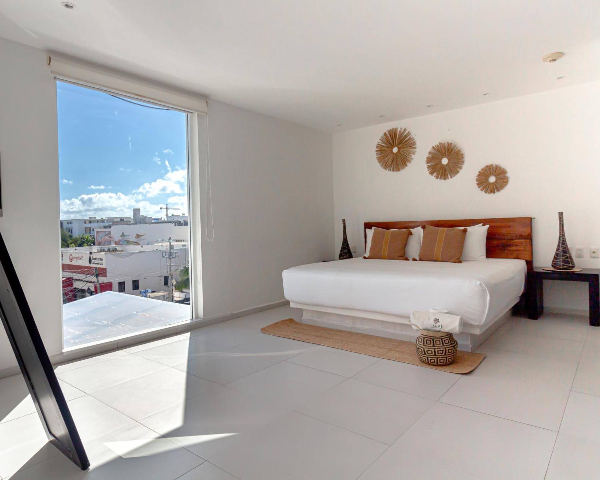 Standard Suite,1630298286:JPEG