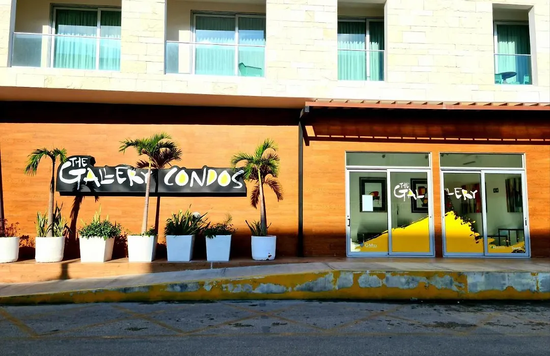 The Gallery Condos Discover Playa Del Carmen From The Gallery Condos Steps To The Beach-1
