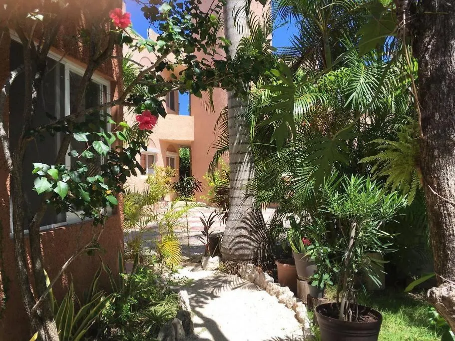 Acogedor Depa Cerca Del Mar, La Casa De Lo Pajaros-1