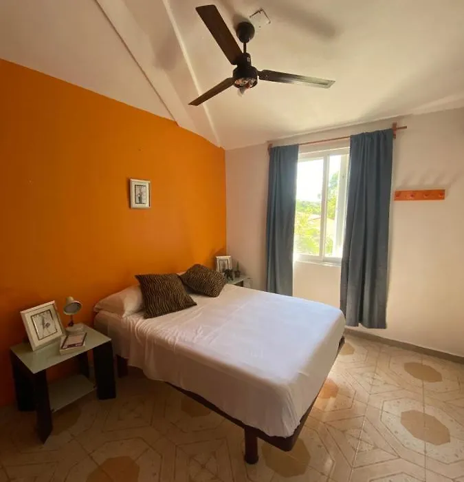 Habitacion En Playacar En Departamento Compartido-1
