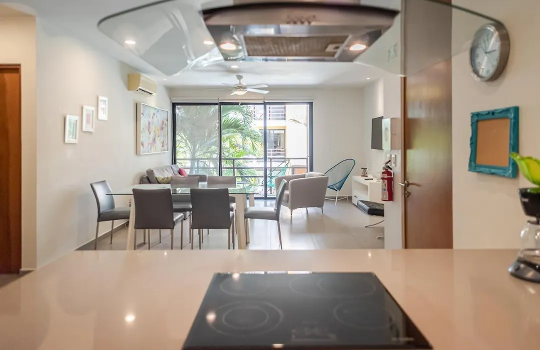 Beautiful 2 Bedroom Apartment With Pool In Downtown Playa-1