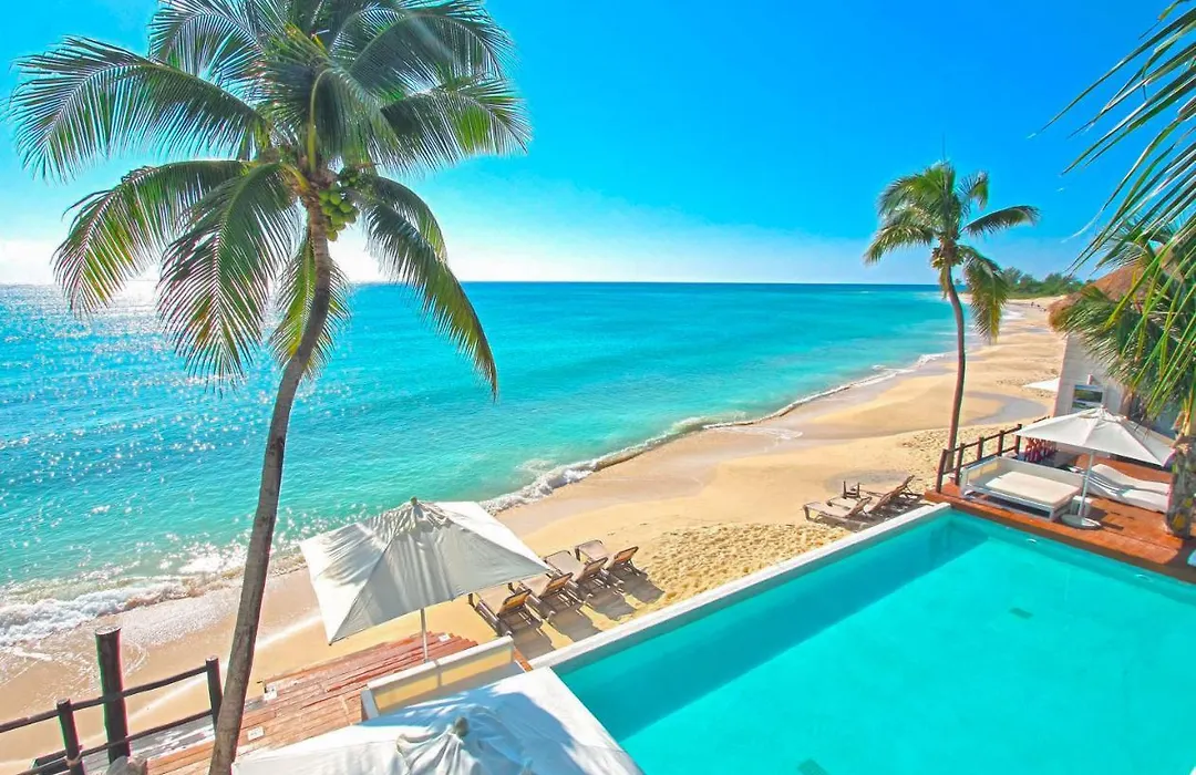 Condo Colibri - Ocean View 2 Bedroom Luxury Condo - At Mareazul-1