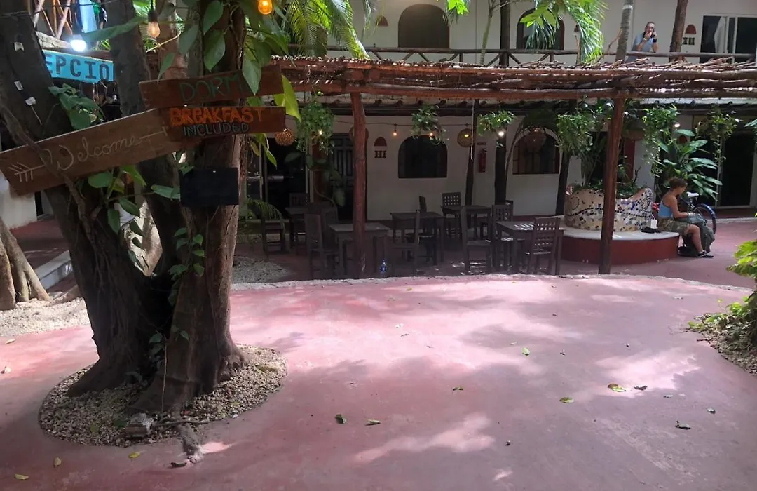Hostal Mx 5Th Avenue-1