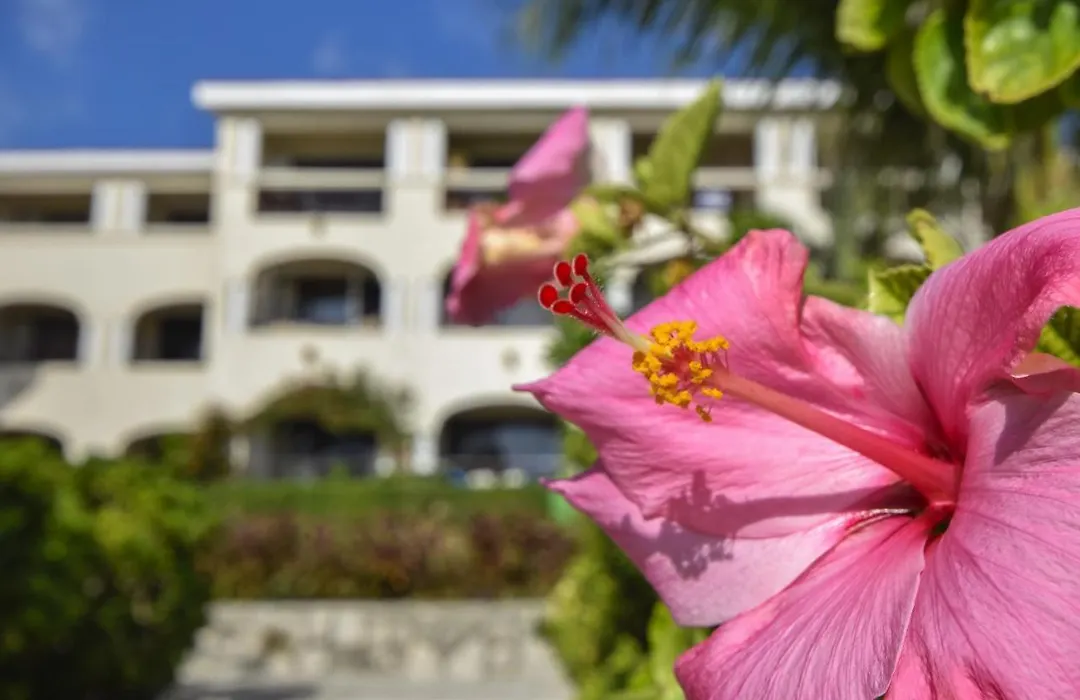 3 Bedroom Deluxe Oceanfront Xaman Ha With Pool New Low Rates Xh7010-1