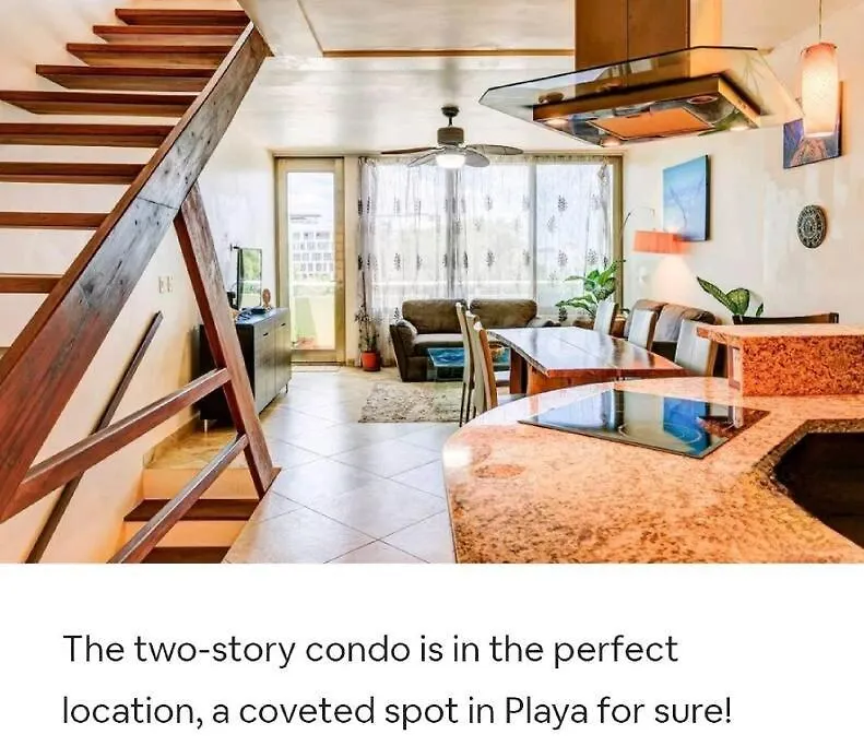 Living The Dream - Playa 5Th Ave-1