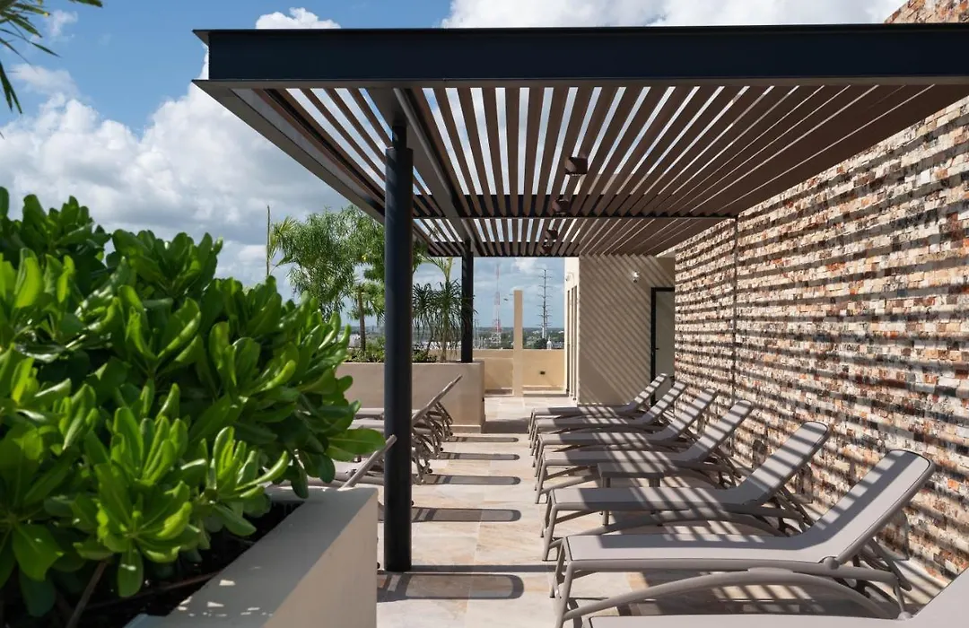 Estudio En El Centro De Playa Del Carmen-1