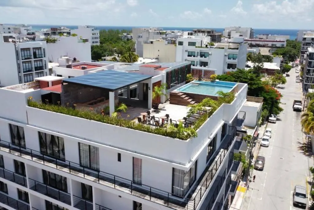Bonito Departamento #503 Con Alberca, Cerca De La Playa Y 5ª Av-1