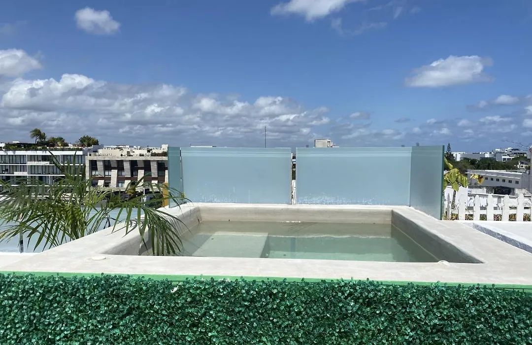 Spacious 1Bd W/Private Rooftop & Plunge Pool-1