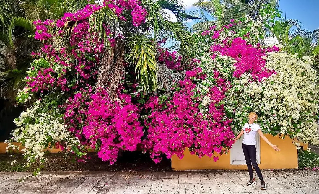 Villa Marea - Playacar-1