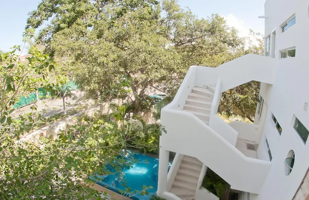 Nasim Condo Hotel Playa Del Carmen-1