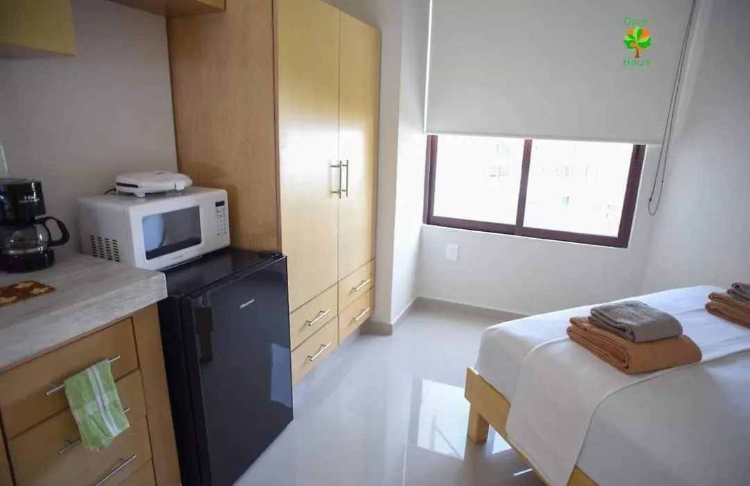 Opis Haus-1