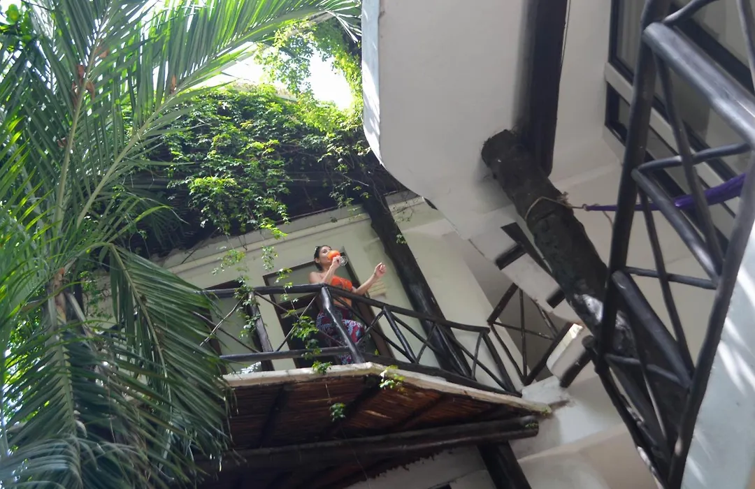 Siesta Fiesta Hotel - 5Th Avenue (Adults Only)-1