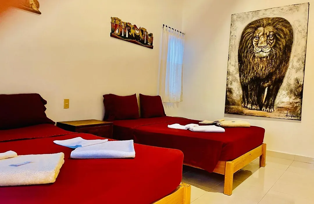 Gorgeous 8 People Economy Villa With Pool Playacar Phase 2-1