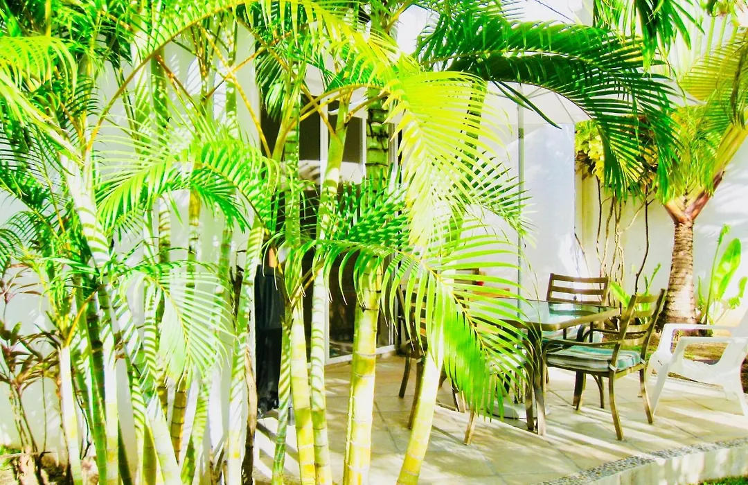 Playacar-1