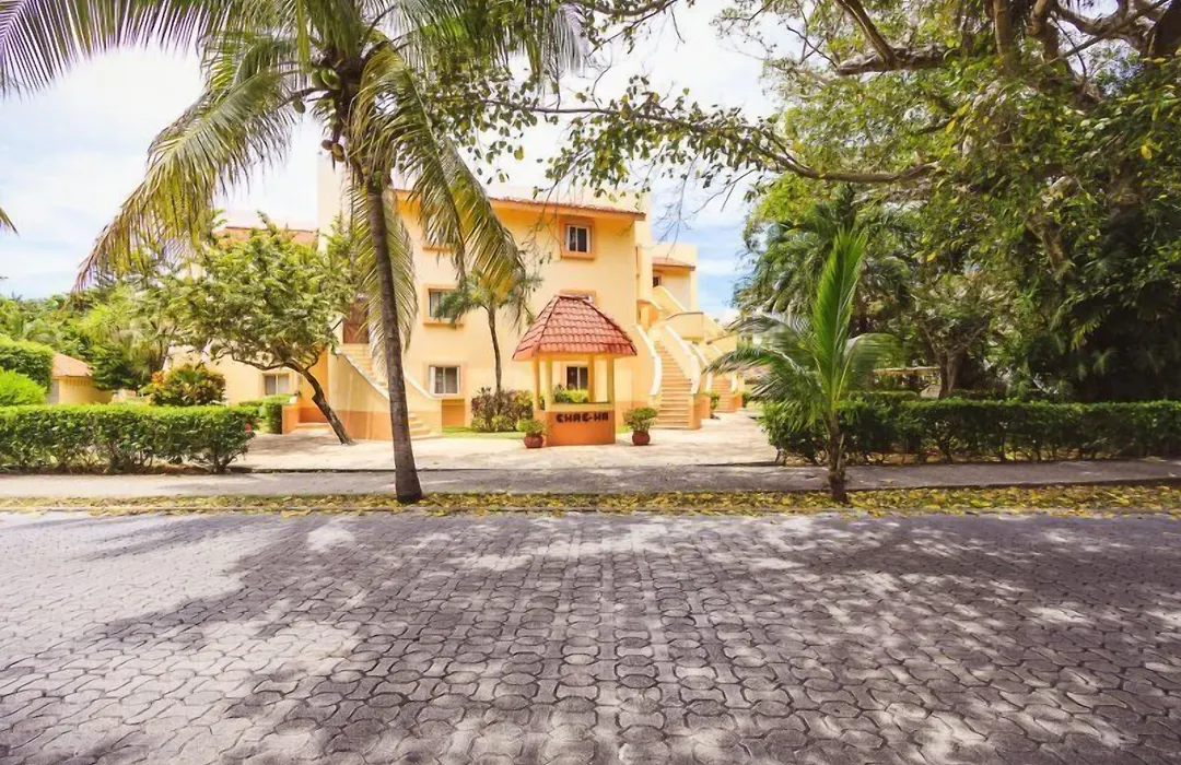 Condo Rana Loca - Only 5 Min Walk To Beach - At, Playacar, Chac Ha Condos-1