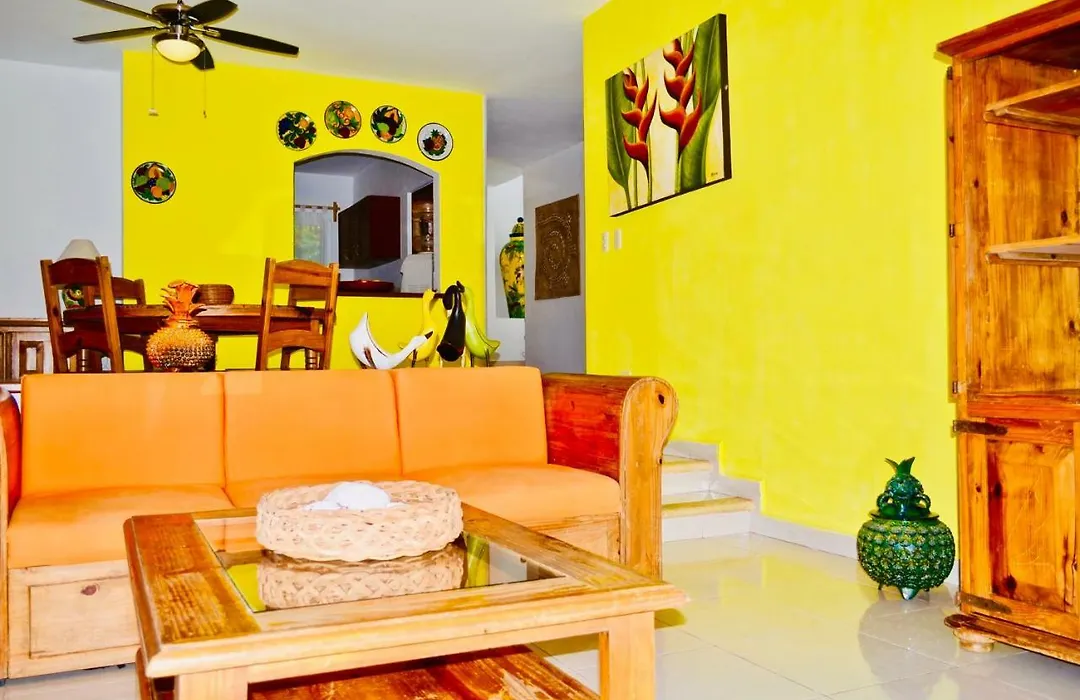 Playacar-1