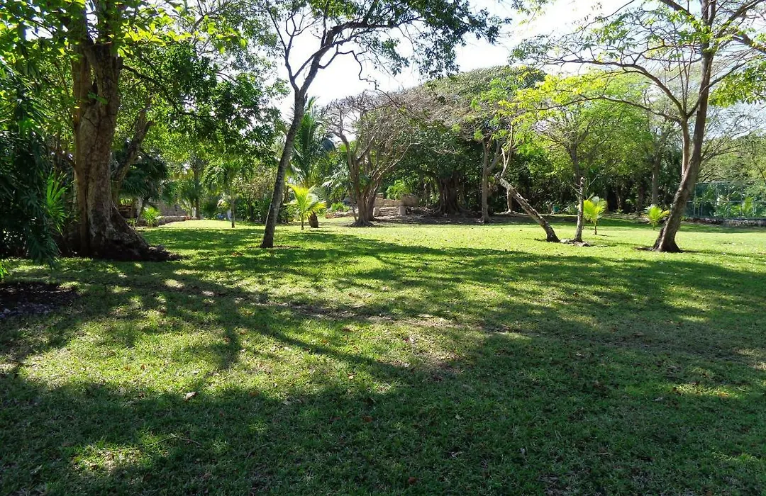 Casa Sonrisas-1