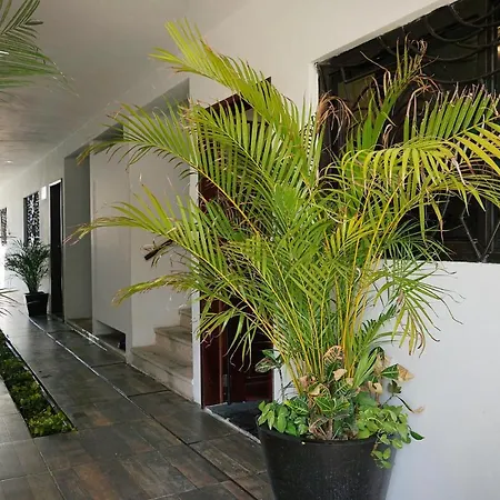 Red Panda Hostal-3