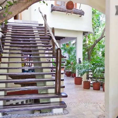 One Bedroom Apt In The Heart Of Playa Only One Block To The Beach-3
