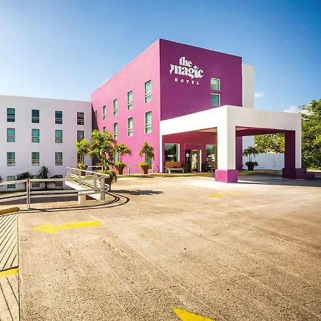 The Magic Hotel-2