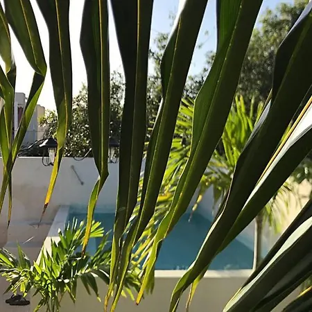 Acogedor Depa Cerca Del Mar, La Casa De Lo Pajaros-2