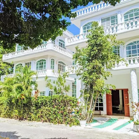 3Br Phouse Rooftop Terrace With Plunge Pool And Ocean View Walk To Beach 5Th Ave And Cozumel Ferry-2
