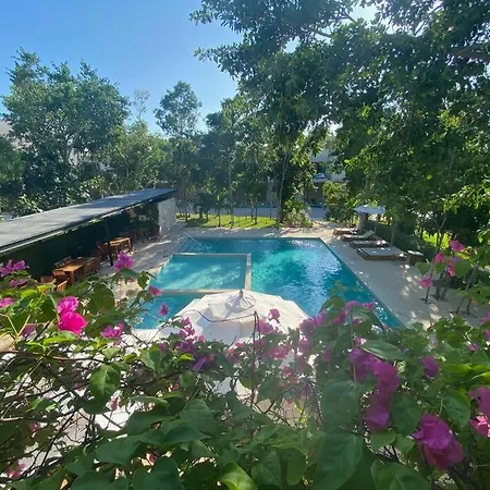 La Casa Blanca - Awesome And Spacious 4 Bdrms House Playa Del Carmen-3