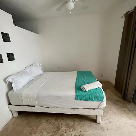 Hostal Mx 5Th Avenue-3