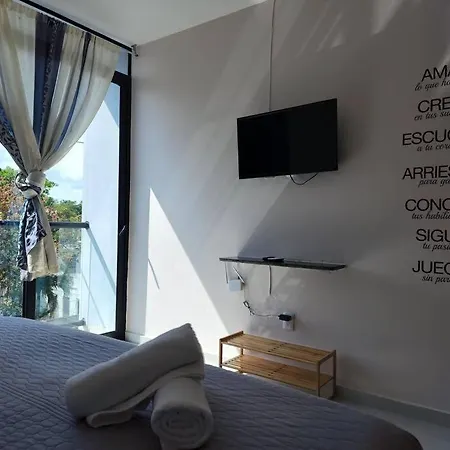 Studio Near To The Beach And Ocean View Pool Roof 202-3