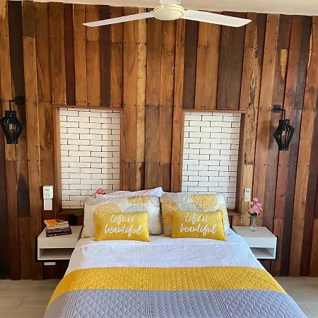 Polo15 Suite-2
