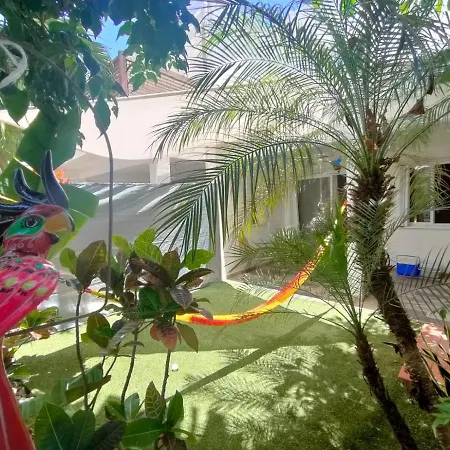 La Casa Del Mexicano Terraza Y Jardin Exoticos 12 Min Del Playa Esmeralda-3