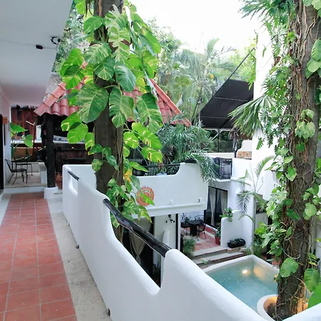 Moonshine Hotel-2