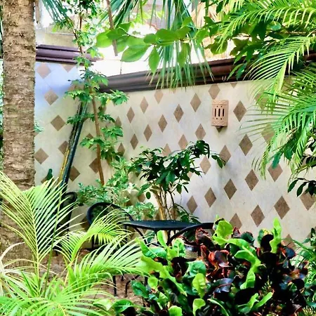 Cozy Beach Studio, 3 Min Walking To 5Av. And Beach H8-3