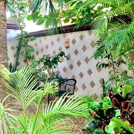 Cozy Beach Studio, 3 Min Walking To 5Av. And Beach H8-2