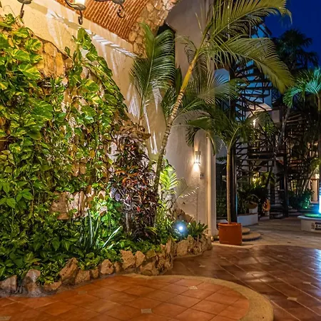 Best Loca! Lux Sunroof Penthouse. Mod. Amenities-3