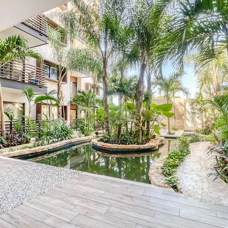 Cocos 403 At Arenis-2