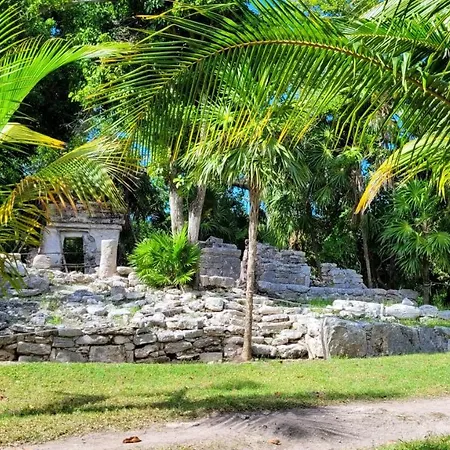 Castillo De Amor Tropical-3