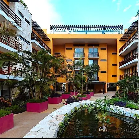 Lunada Condo L Roof Top L Playa Downtown-2