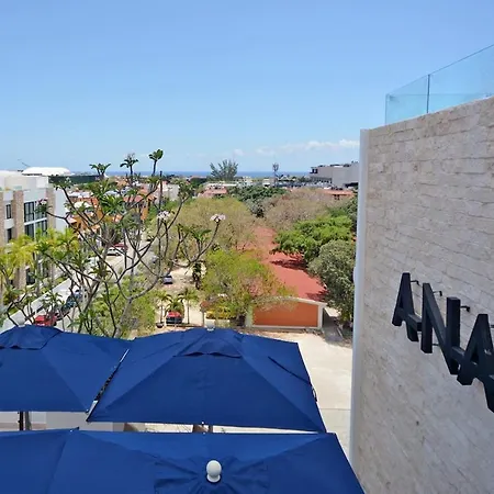 Fabulous Apartment In Downtown Playa Rooftop Pool-2