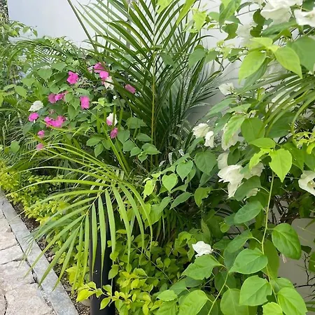 Luxury Amazing Villa, 3 Rooms, 3,5 Bathrooms, Swimming Pool, Gym, Close To Th Beach-2