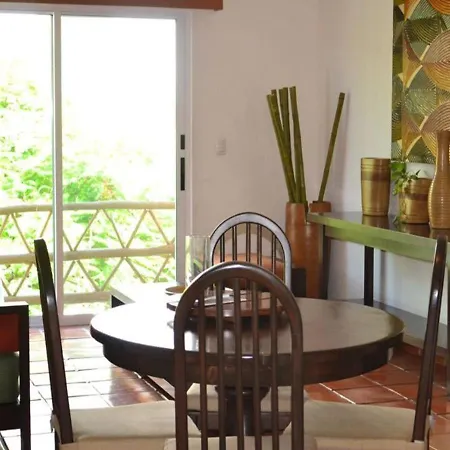 Beautiful Condo On 10Th Av In The Center Of Playa-3