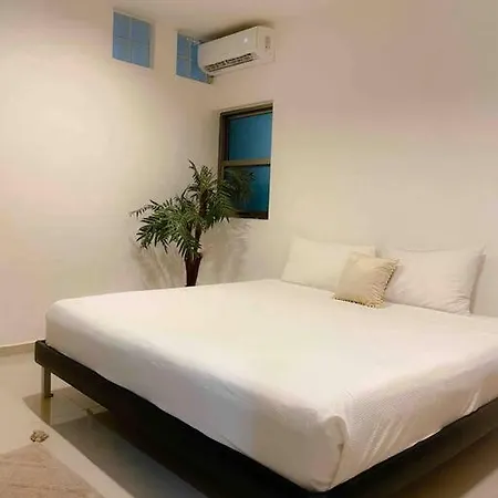 Apartment In The Best Area Of ​​Playa Del Carmen-2