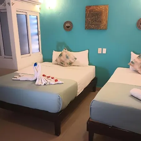 Playa Y Mar Suites - Avenida Quinta - Only 1 Block From Beach!!!-2