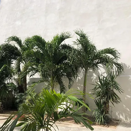 Studios Playa-2