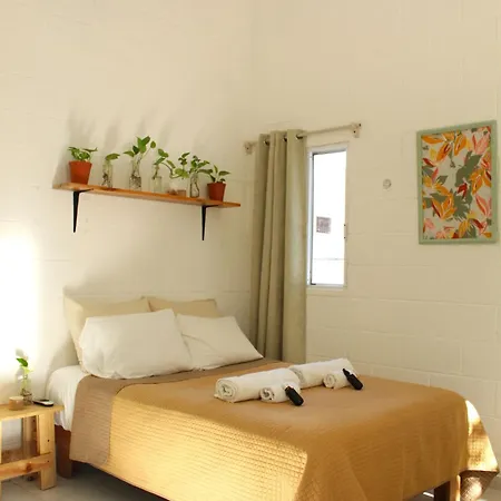 Casa Palmita-3