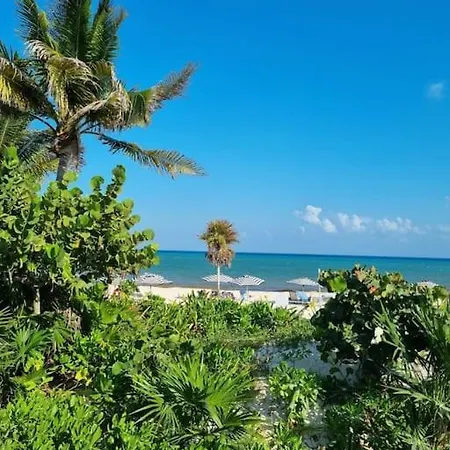 Beach Dream-2