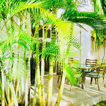 Executive Basic Room With Swimming Pool Air Conditioning And Parking-2