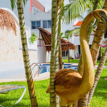 Playacar-3